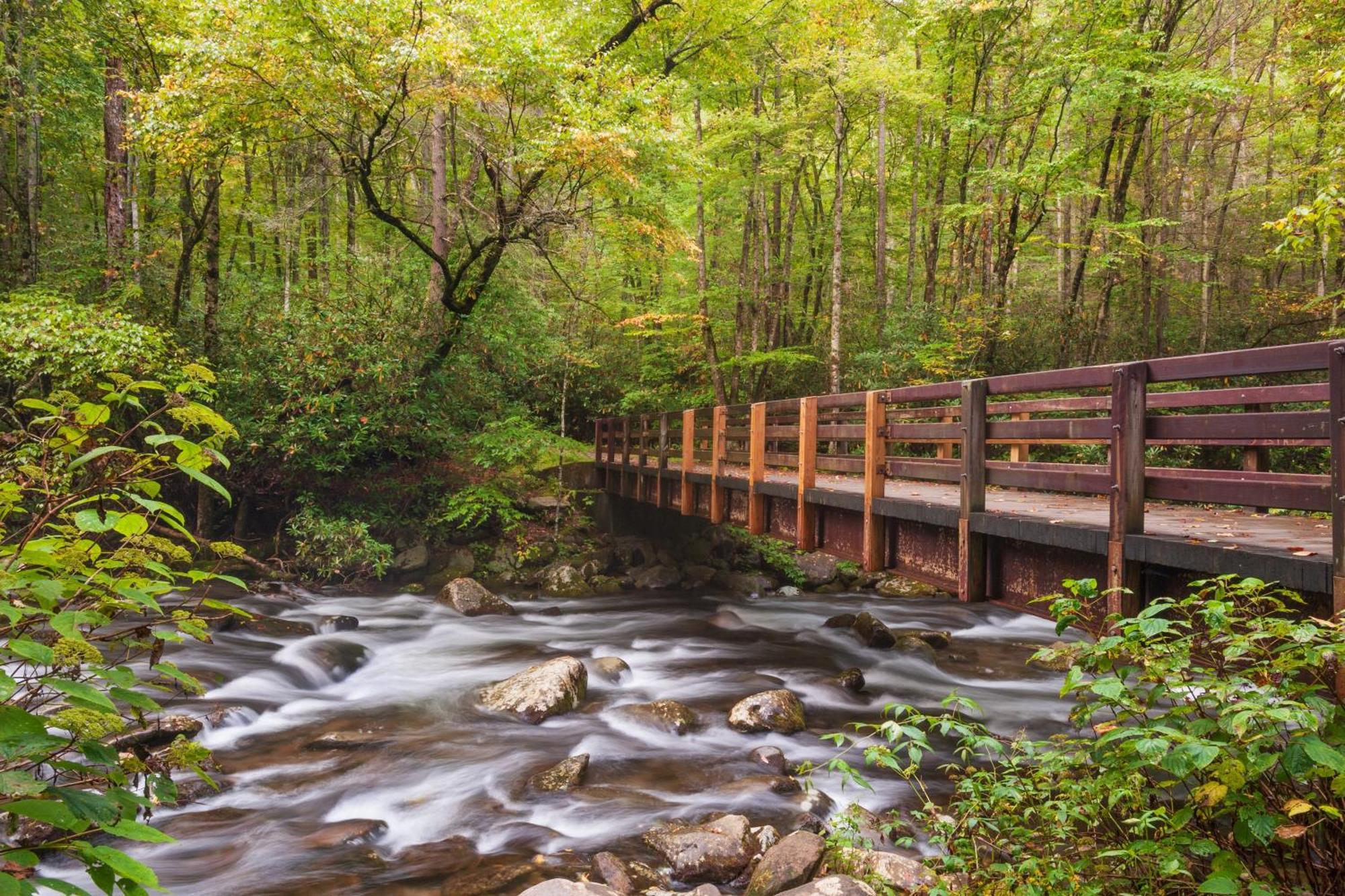 Apple Valley Hideaway, 1089 Of Free Attraction Tickets For Each Paid Day, Dollywood And More! Pigeon Forge Esterno foto