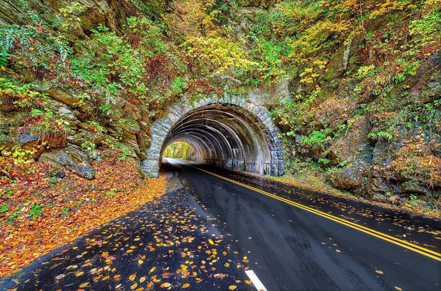 Apple Valley Hideaway, 1089 Of Free Attraction Tickets For Each Paid Day, Dollywood And More! Pigeon Forge Esterno foto