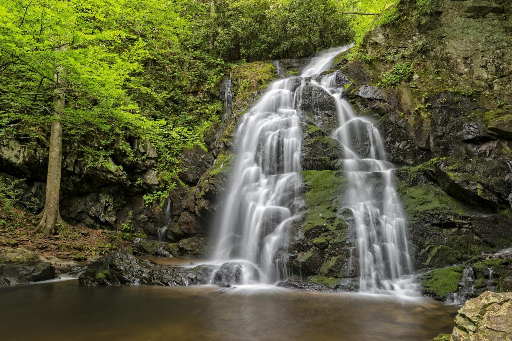 Apple Valley Hideaway, 1089 Of Free Attraction Tickets For Each Paid Day, Dollywood And More! Pigeon Forge Esterno foto