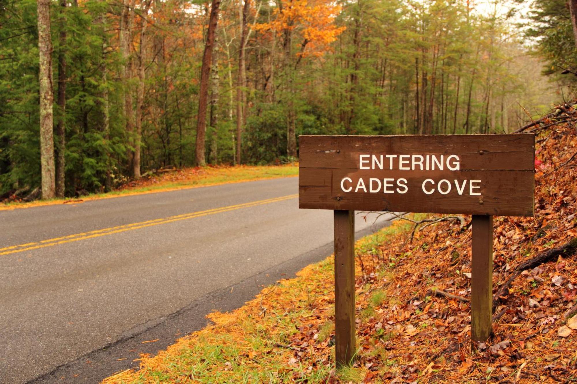 Apple Valley Hideaway, 1089 Of Free Attraction Tickets For Each Paid Day, Dollywood And More! Pigeon Forge Esterno foto